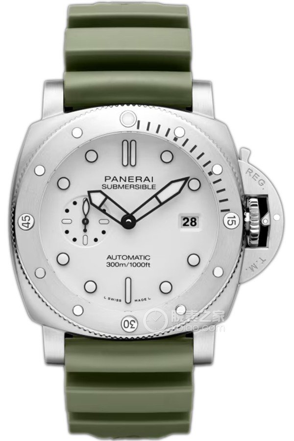 PAM01595